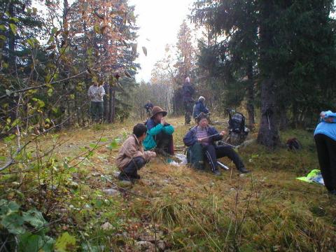 Det er idylisk i skogen en fin høstsøndag