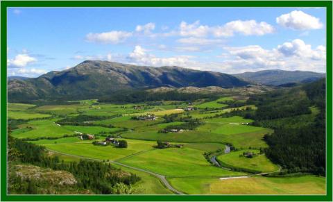 Bardal en sommerdag.