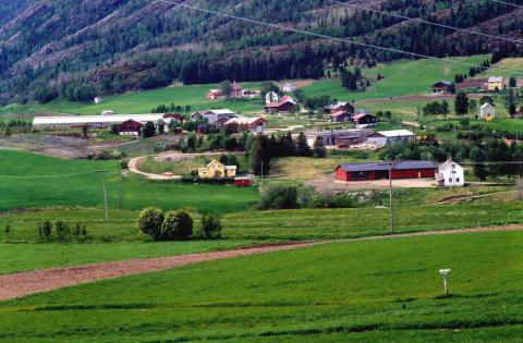 Bardal med ny-skola og gartneriet