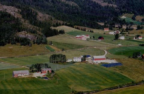 Bergsnov etter 1980