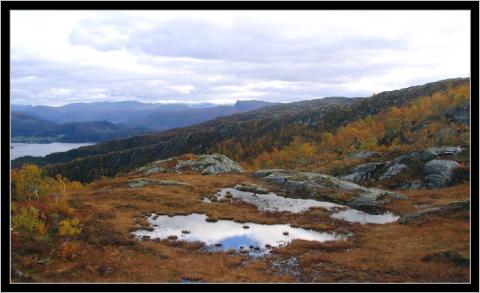 Fjellheimen.