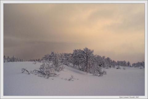 Fra Yttergårdsfjellet.