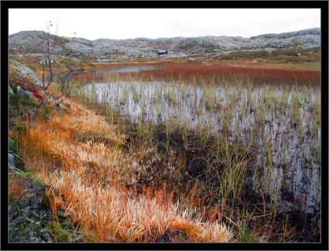 Høstfarger på Porius.