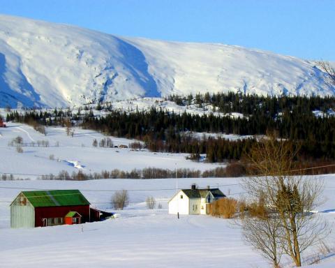 Her er vi på Nyseth.