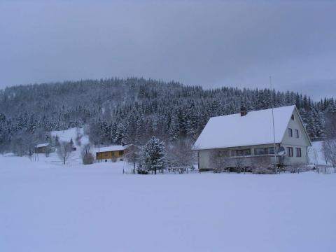 Heståkerbakken, Solbråten og Einekkeren.