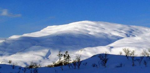 Hvite fjell.