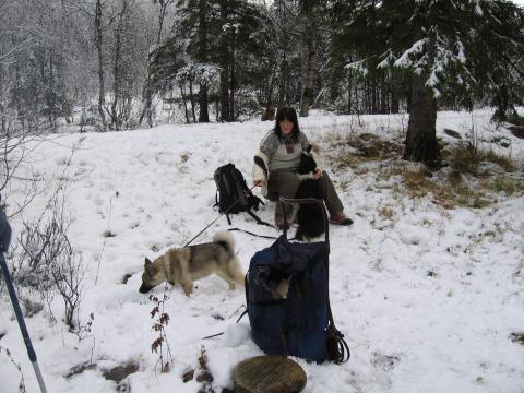 Laila og hundene