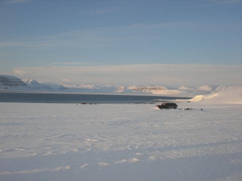 store snøvidder