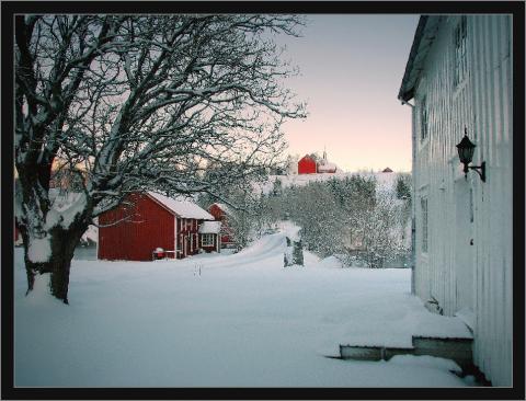 Motiv fra Bardal 5.