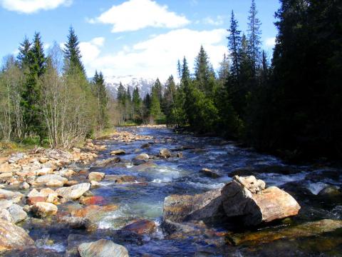 Nedenfor fossen.