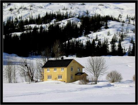 Nystua på Dalan.