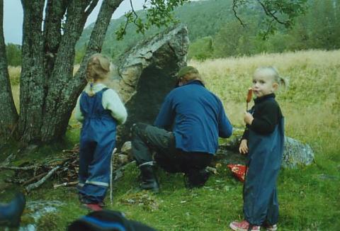 Pølser smaker