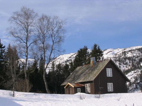 På skogan.