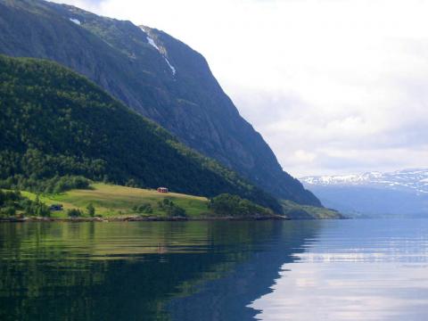 Pepperjorden. Bardal.