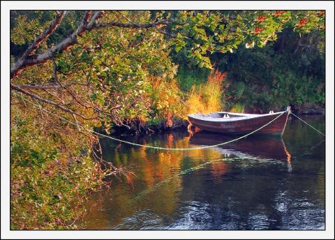 Sensommer 3