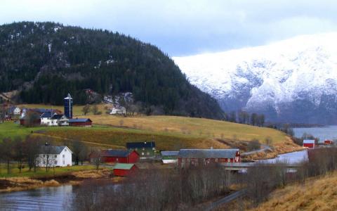 Sjyen, Bakklandet, Heståkerbakken og yttergården.