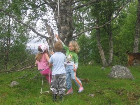 Spennende klatretre på turmarsj