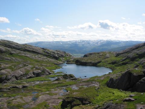 Oppe på Nordvikfjellet