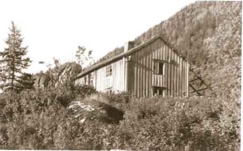 gamle Haugjord